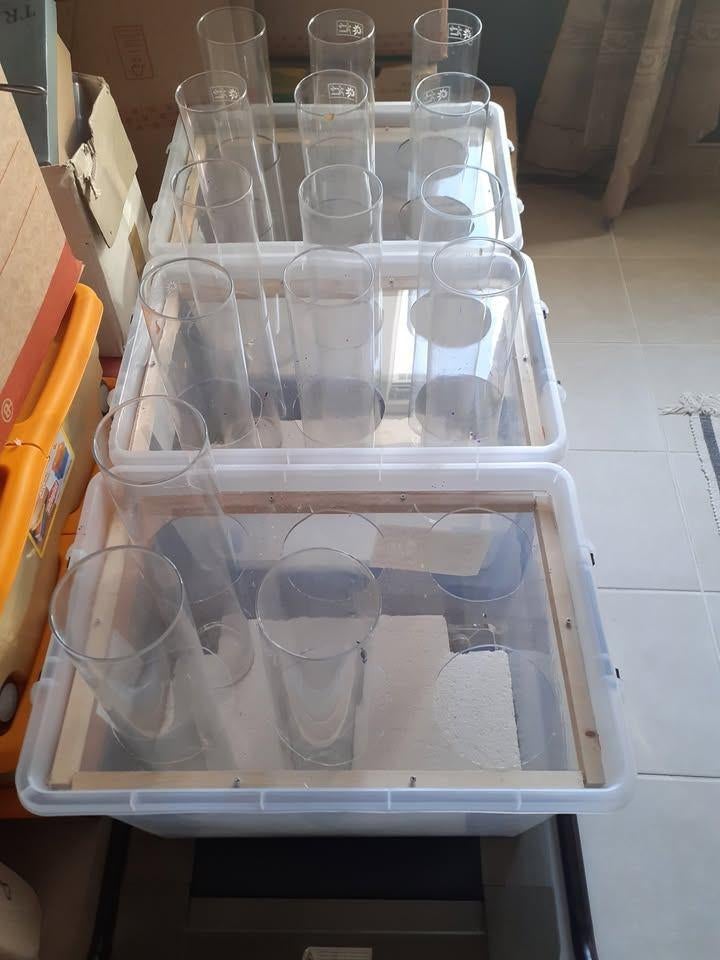 vase decoration 50cm, Maison & Meubles, Accessoires pour la Maison | Vases, Enlèvement, Comme neuf, Verre, 50 à 75 cm