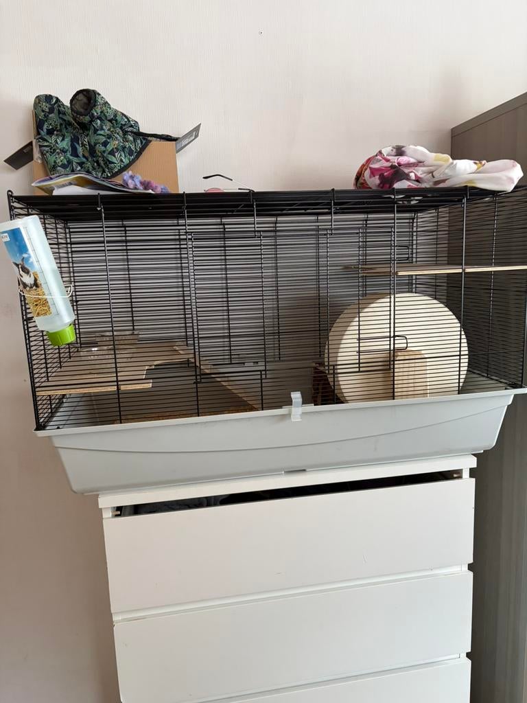 Kooi + benodigheden, Ophalen of Verzenden, Zo goed als nieuw, Kooi, Hamster