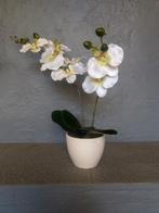 Kunstplant: orchidee in pot.  Hoogte 40 cm., Ophalen