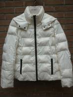 Gewatteerde Donsjas Hallhuber, Overige kleuren, Nieuw, Ophalen of Verzenden, Maat 36 (S)