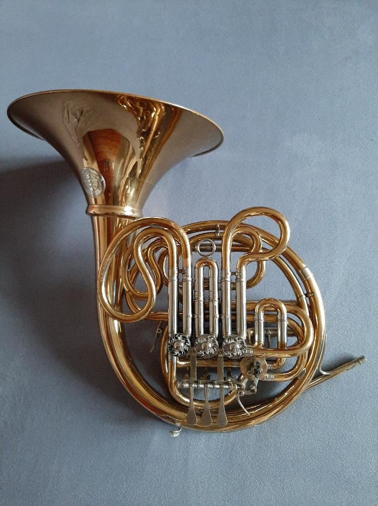 Instrument de musique, Muziek en Instrumenten, Ophalen, Gebruikt, Overige typen, Met koffer