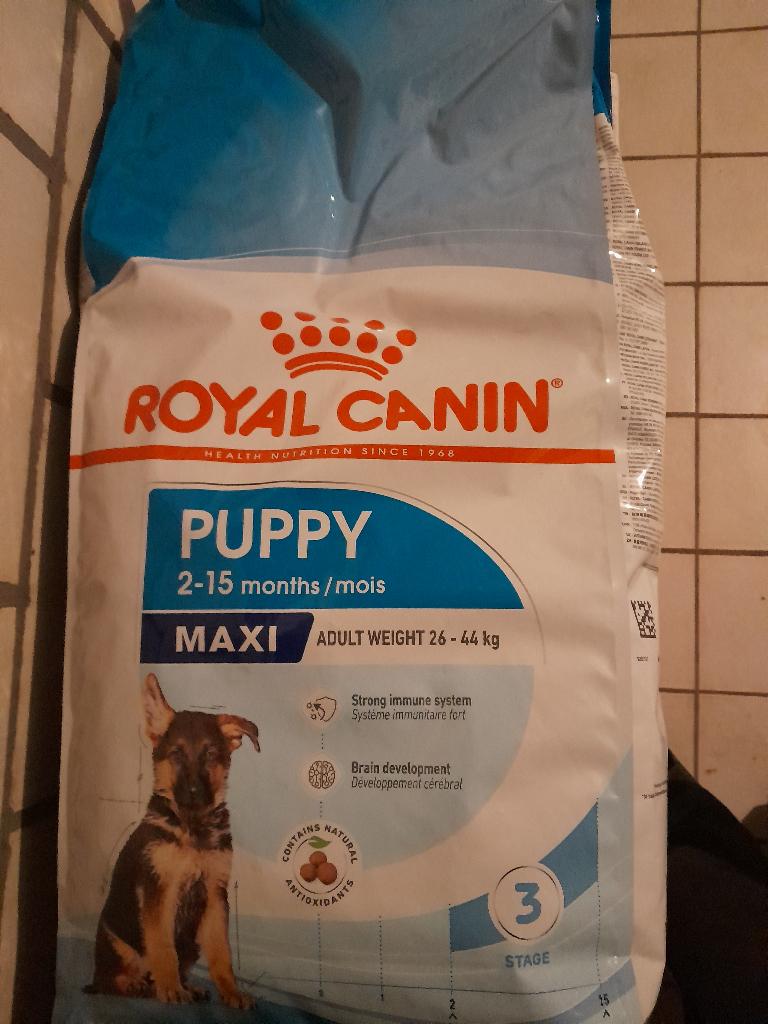 honden voer, Ophalen, Hond