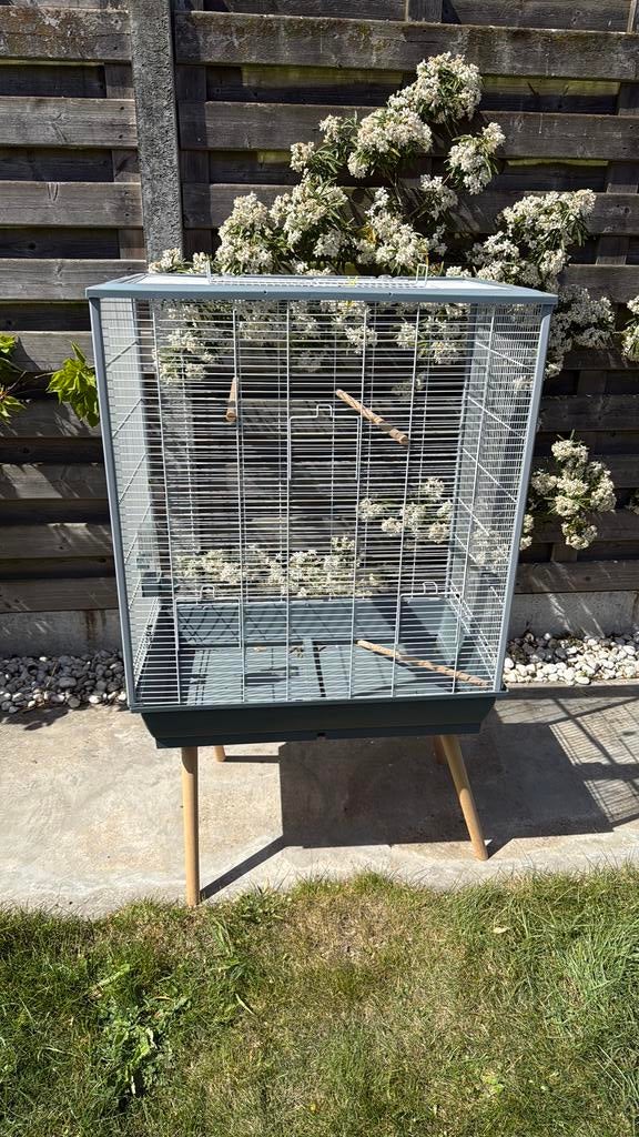 Grote vogel kooi, Animaux & Accessoires, Oiseaux | Cages & Volières, Enlèvement, Comme neuf, Cage à oiseaux