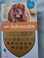 Advocate voor honden van 4-10 kg. Inhoud 3 pipetjes,nieuw, Ophalen, Hond