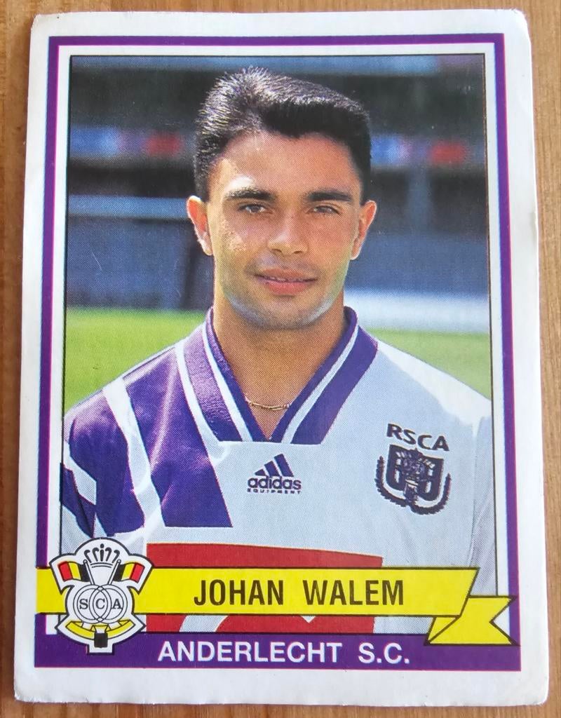 Panini Football 94 #13 Johan Walem SC Anderlecht Voetbal!, Ophalen of Verzenden, Zo goed als nieuw, Sticker