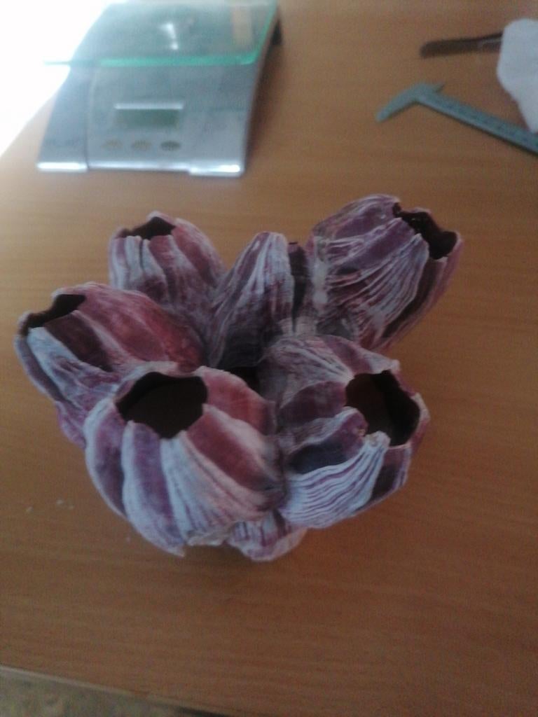 Grandes balanes de 350 grammes, voir les photos pour plus de, Enlèvement ou Envoi