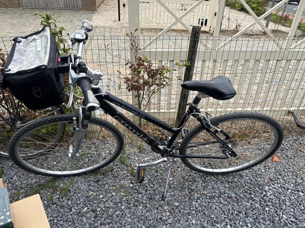 Dames mountainbike, Ophalen, Gebruikt, Minder dan 10 versnellingen, 26 inch