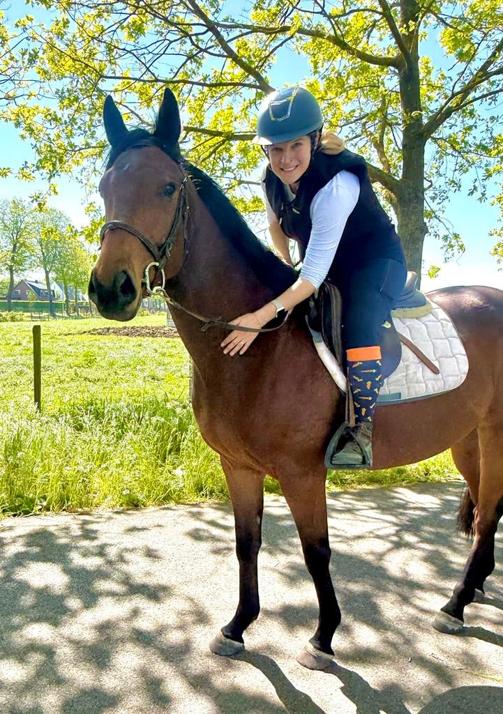 Une machine polyvalente et courageuse, Animaux & Accessoires, Poneys, Hongre