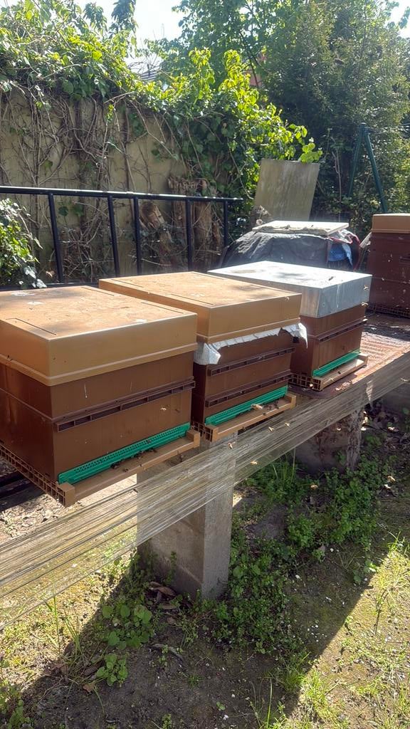 Ruche nicot avec abeille 10 cadre a vendre, Enlèvement, Utilisé