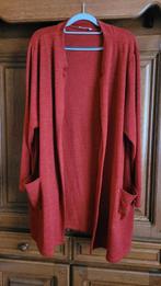 Gilet, Vêtements | Femmes, Pulls & Gilets, Enlèvement