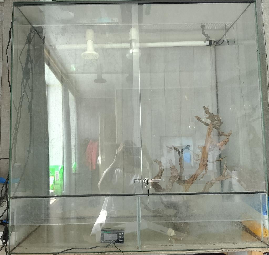 A vendre terrarium complet, Enlèvement, Utilisé, Terrarium ou Paludarium