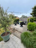 4 roterende lounge-zetels, Tuin en Terras, Ophalen, 4 zitplaatsen, Kunststof, Gebruikt