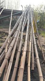 Bamboestokken te koop, Doe-het-zelf en Bouw, Metalen, Ophalen, Nieuw