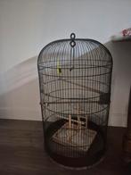 Mooie landelijke kooi, Ophalen