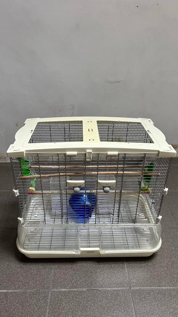 Vision Kooi, Enlèvement, Comme neuf