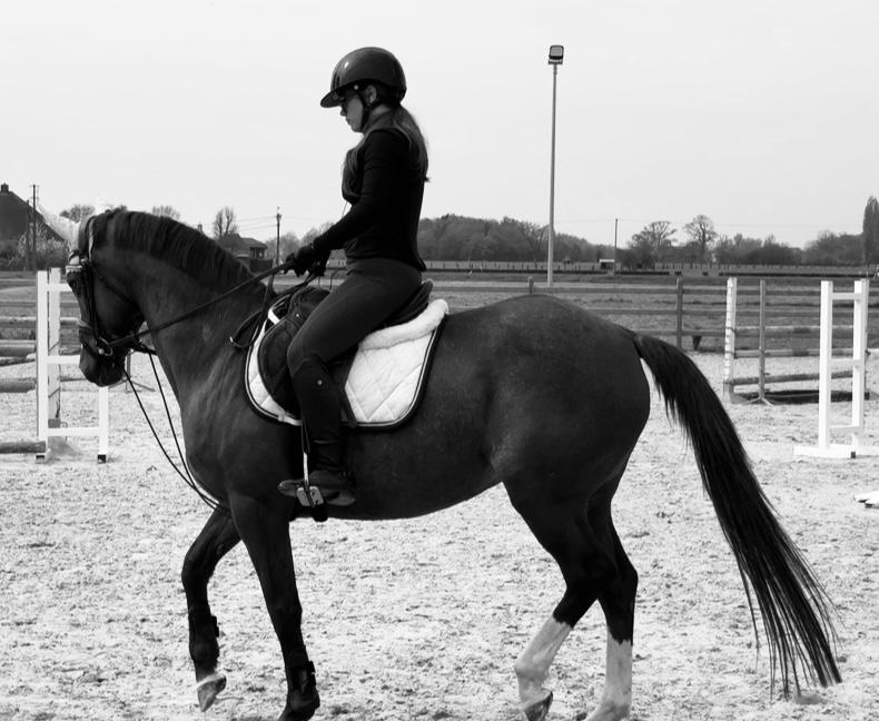 Groom/bijrijder/verzorger aangeboden