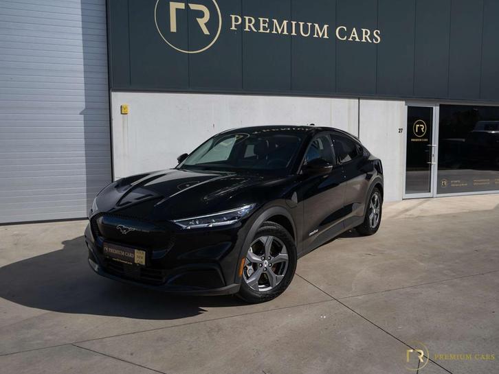 Ford Mustang Mach-E Standard Range l Camera l Heated Steer l, Autos, Ford, Entreprise, Achat, Mustang, ABS, Régulateur de distance