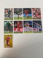 Panini Pro League 24/25 Trading Card - Standard, Hobby en Vrije tijd, Stickers en Plaatjes, Ophalen, Nieuw