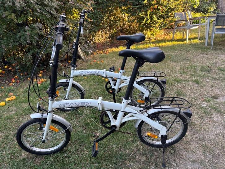 Plooifiets, Fietsen en Brommers, Fietsen | Vouwfietsen, Gebruikt, Dames, Overige merken, Totaal opvouwbaar, Versnellingen, Ophalen