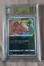 Pokemon Beckett 9,5 set, Hobby en Vrije tijd, Verzamelkaartspellen | Yu-gi-Oh!, Ophalen of Verzenden, Zo goed als nieuw