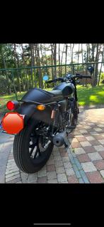 Archive café racer 125cc SP model, Ophalen, 11 kW of minder