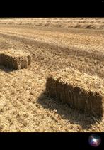 Kleine balen tarwestro, Dieren en Toebehoren, Ophalen