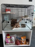 Hamsterkooi - met of zonder kast, Dieren en Toebehoren, Knaagdieren en Konijnen | Hokken en Kooien, Kooi, Gebruikt, Minder dan 75 cm