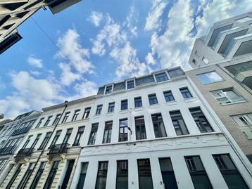 Appartement te huur in Antwerpen, 1 slpk, Immo, 461 kWh/m²/jaar, Appartement, 1 kamers, 20 m²