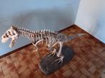 Dinosaurus, Verzamelen, Ophalen