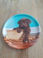 Bord puppy labrador, Ophalen of Verzenden, Zo goed als nieuw