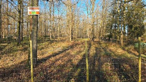 Neuville/La Forêt 2 aaneengesloten percelen 41 are, Immo, Gronden en Bouwgronden, 1500 m² of meer