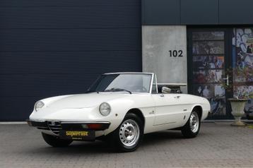 1977 ALFA ROMEO 1600 SPIDER JUNIOR