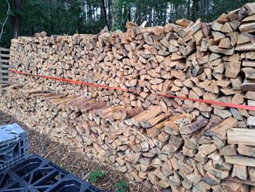 Brandhout den spar gekloven stamhout beschikbaar voor biedingen