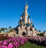 Disneyland Paris: Regular-tickets voor 2 personen (2 parken, Tickets en Kaartjes, Twee personen, Ticket of Toegangskaart