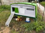 Poulailler pour 10 grandes poules Omlet Eglu Pro, Dieren en Toebehoren, Ophalen, Nieuw, Kippenhok of Kippenren