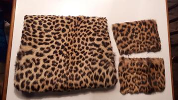 Fourreau et morceaux de manchons en peau de léopard