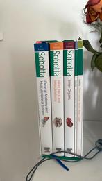 Boeken 1ste bachelor revaki + samenvatting verkrijgbaar, Boeken, Ophalen of Verzenden, Zo goed als nieuw, Hoger Onderwijs