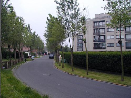 Direct beschikbaar gerenoveerd appartement +  garage, Immo, Huizen en Appartementen te koop, Provincie West-Vlaanderen, tot 200 m²