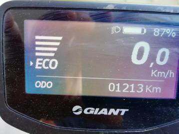 GIANT E+ 80 NM koppel & range 139 km & speedbox 45 km snel beschikbaar voor biedingen