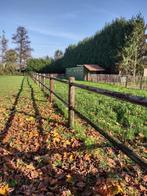 300 m Paardenomheining hekwerk, Dieren en Toebehoren, Weidegang