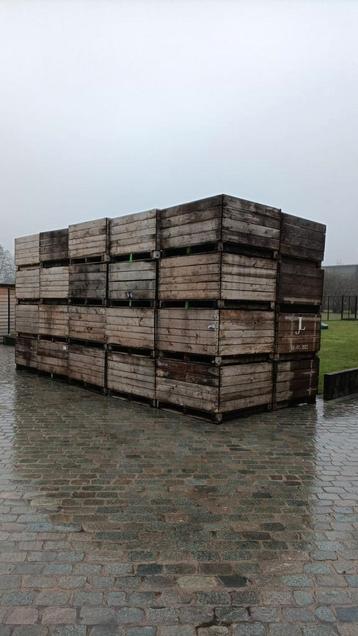 Houten paloxen  beschikbaar voor biedingen