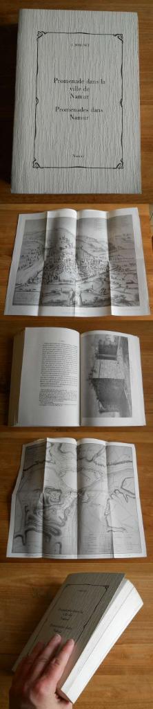 Promenades dans Namur (J. Borgnet), Livres, Histoire nationale, Enlèvement ou Envoi