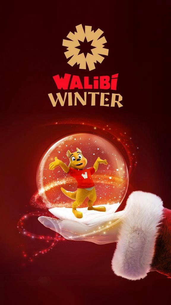 Tickets d'entrée pour Walibi, Tickets en Kaartjes, Evenementen en Festivals, Eén persoon