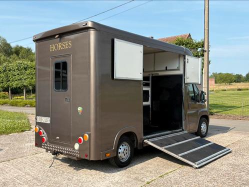 🐴Citroën Jumper 2.2HDI Paardencamionette Horses GEKEURD, Dieren en Toebehoren, Paarden en Pony's | Trailers en Aanhangwagens