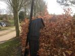 Disselboom, Dieren en Toebehoren