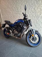 Yamaha MT07, Motoren, Particulier