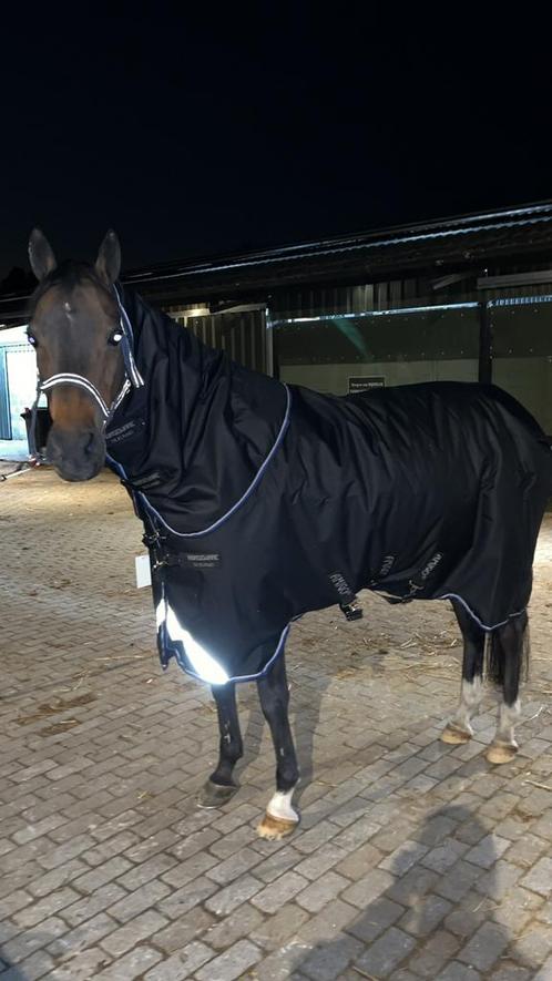 Amigo Bravo 12 Plus Turnout Medium 250g 175cm winterdeken, Dieren en Toebehoren, Paarden en Pony's | Dekens en Dekjes, Zo goed als nieuw