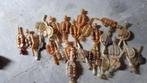 fermentatiebuisjes voor dame jeanne flessen, Ophalen of Verzenden