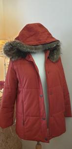 Veste avec capuche amovible - Taille 36, Vêtements | Femmes, Vestes | Hiver, Comme neuf, Taille 36 (S), Enlèvement ou Envoi, Orange