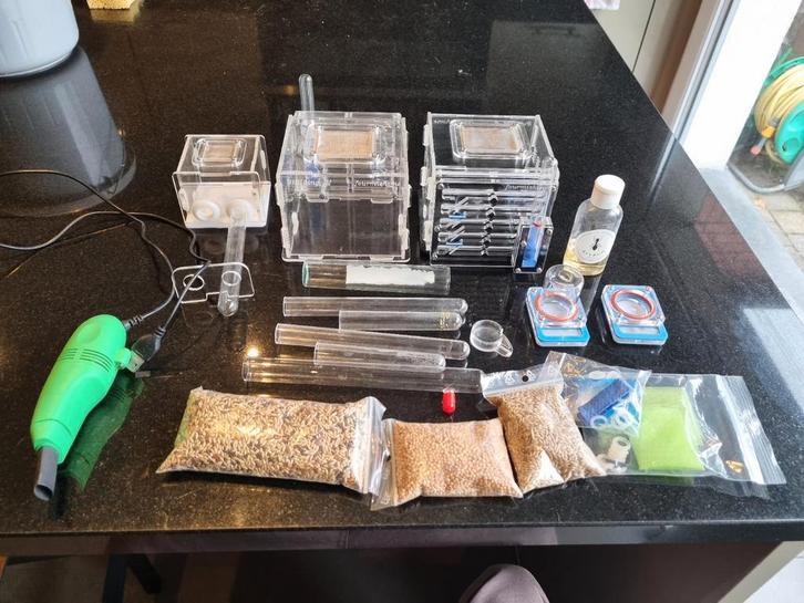 Anthill-kit met alles wat je nodig hebt, Dieren en Toebehoren, Insecten en Spinnen